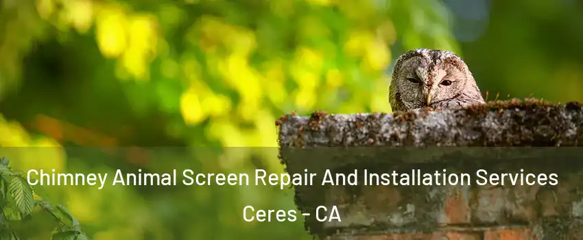  Chimney Animal Screen Repair And Installation Services Ceres - CA