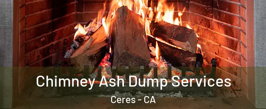  Chimney Ash Dump Services Ceres - CA