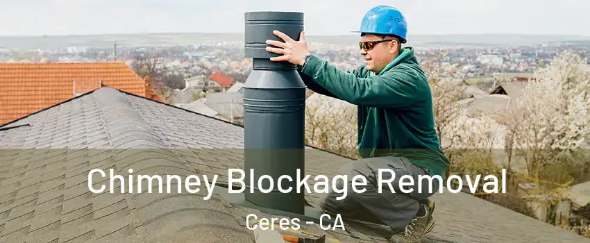  Chimney Blockage Removal Ceres - CA