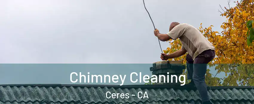  Chimney Cleaning Ceres - CA