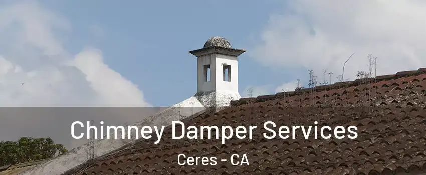  Chimney Damper Services Ceres - CA