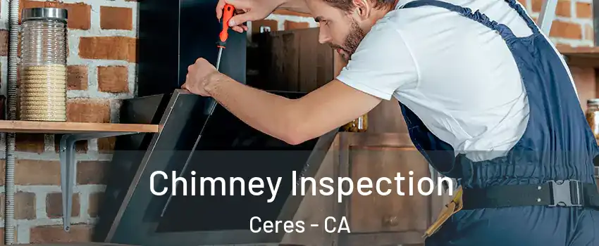  Chimney Inspection Ceres - CA