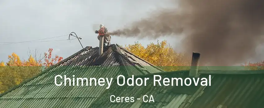  Chimney Odor Removal Ceres - CA