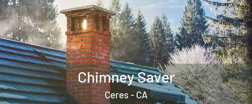  Chimney Saver Ceres - CA