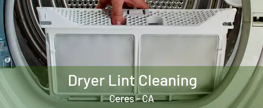  Dryer Lint Cleaning Ceres - CA