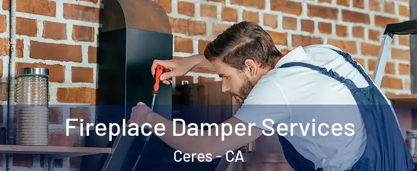  Fireplace Damper Services Ceres - CA
