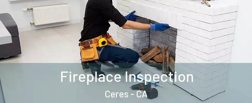  Fireplace Inspection Ceres - CA