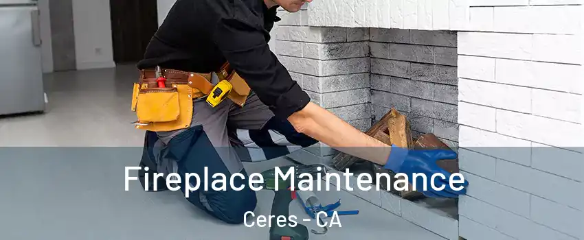  Fireplace Maintenance Ceres - CA