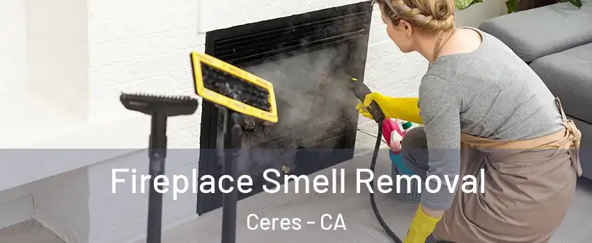  Fireplace Smell Removal Ceres - CA