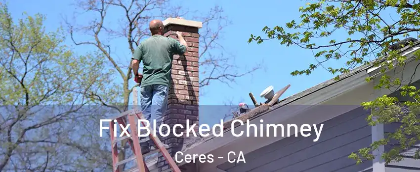  Fix Blocked Chimney Ceres - CA