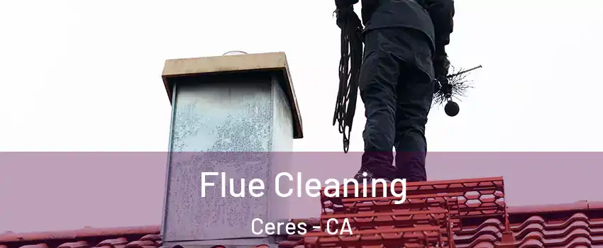  Flue Cleaning Ceres - CA