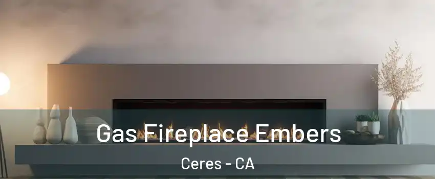  Gas Fireplace Embers Ceres - CA