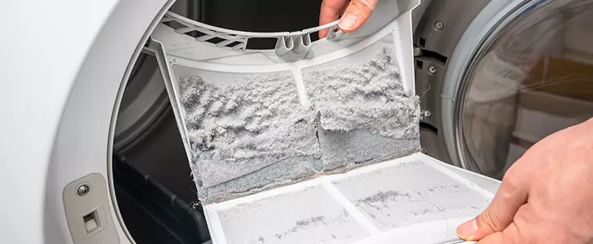 Best Dryer Lint Removal Company in Ceres, California