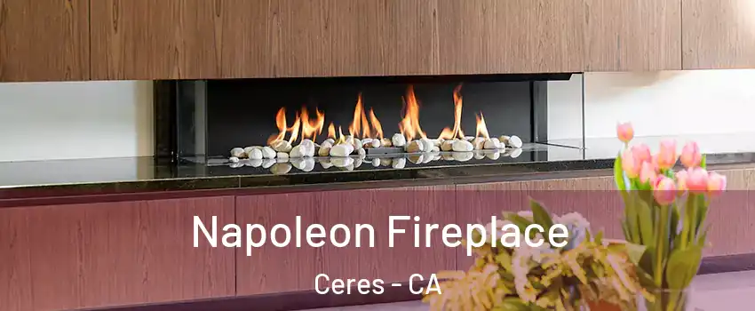  Napoleon Fireplace Ceres - CA