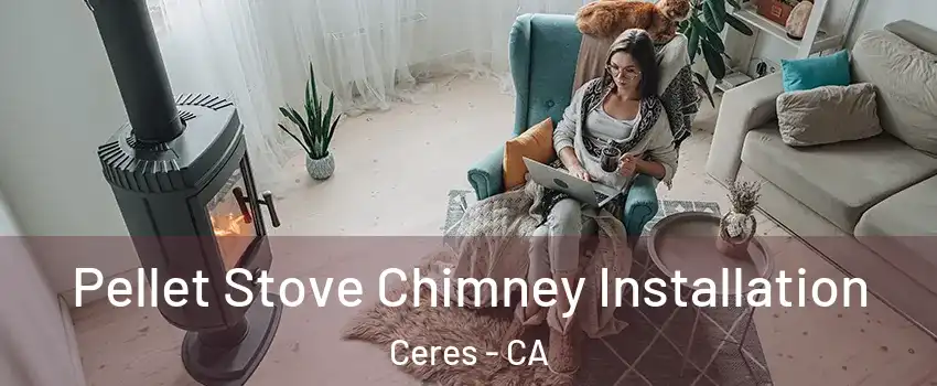  Pellet Stove Chimney Installation Ceres - CA